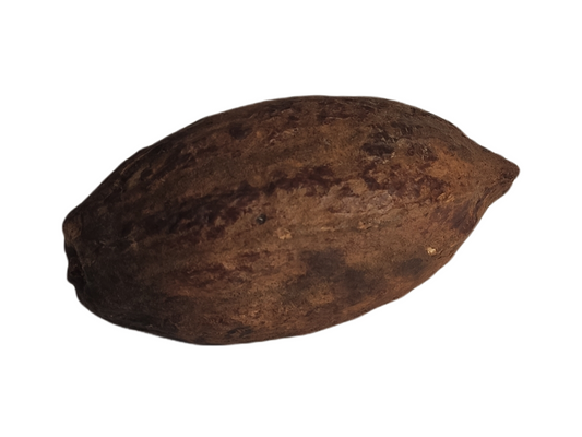 fève de cacao