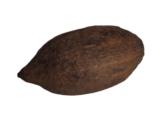 fève de cacao